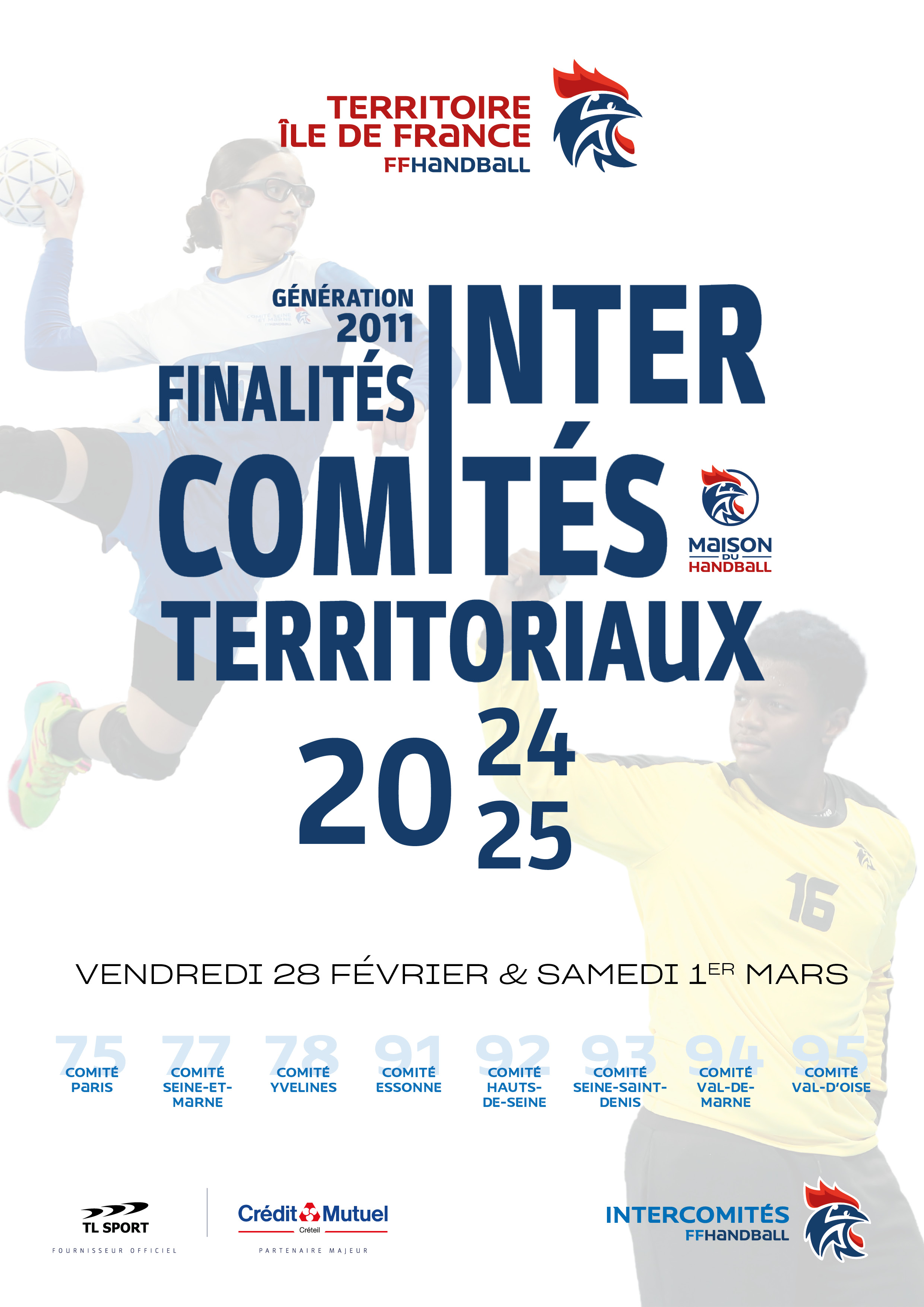ICT IDF finalites 2011 24 25