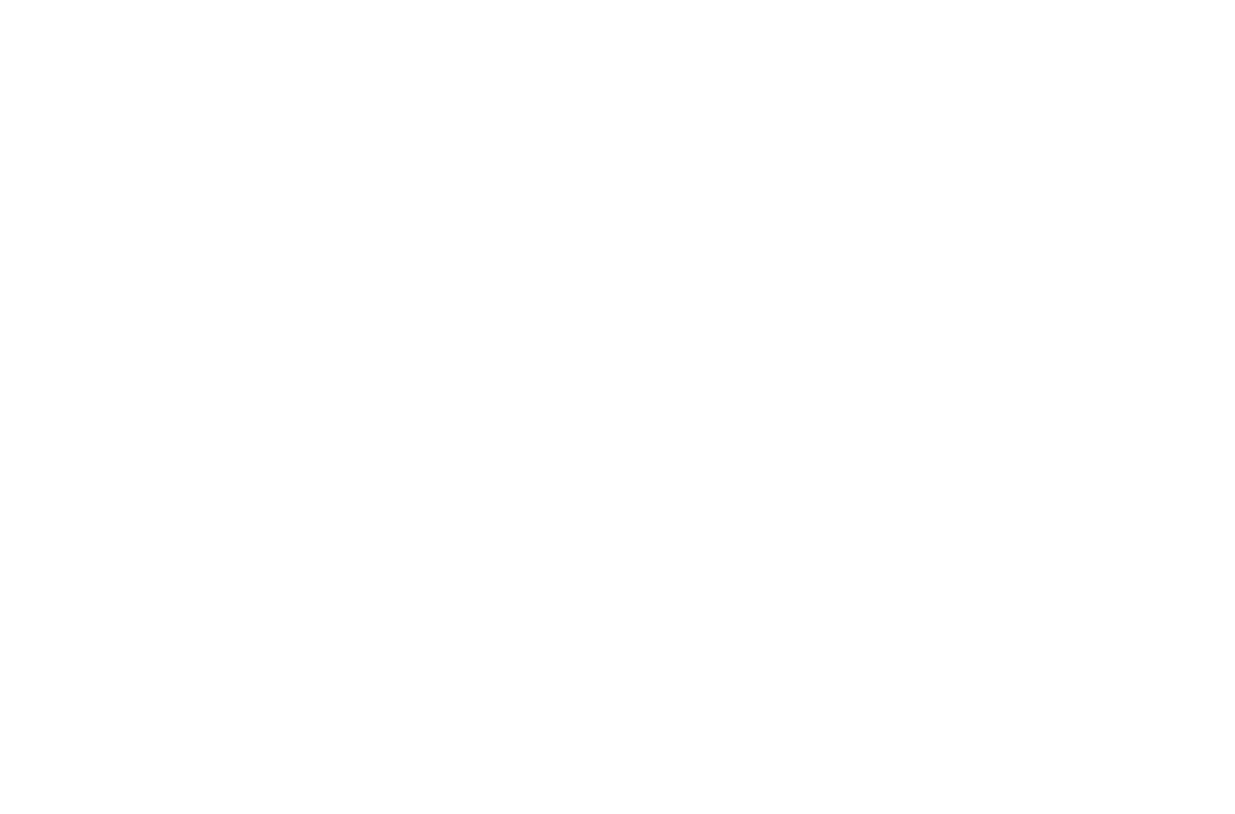 FFHB LOGO V FD FC RVB
