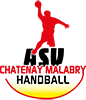 asv chatenay 100px