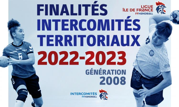 Finalités des intercomités territoriaux – génération 2008