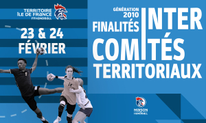 Finalités des intercomités territoriaux – génération 2010