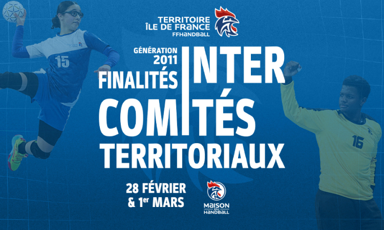 Finalités des intercomités territoriaux – génération 2011